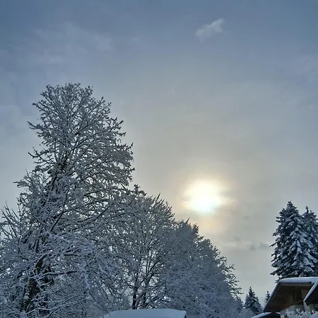 Troger * Fieberbrunn