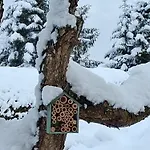 Troger Apartman Fieberbrunn
